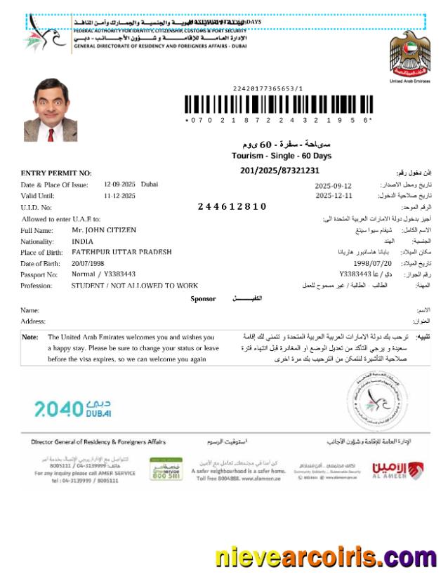 UAE e-visa, version 3